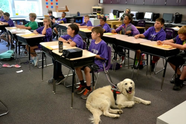 Bringing a Dog to School