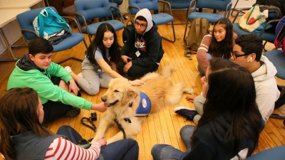 3 Benefits of Having a Comfort Dog in School