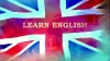 The Hegemony of English and Strategies for Linguistic Pluralism: Proposing the Ecology of Language Paradigm