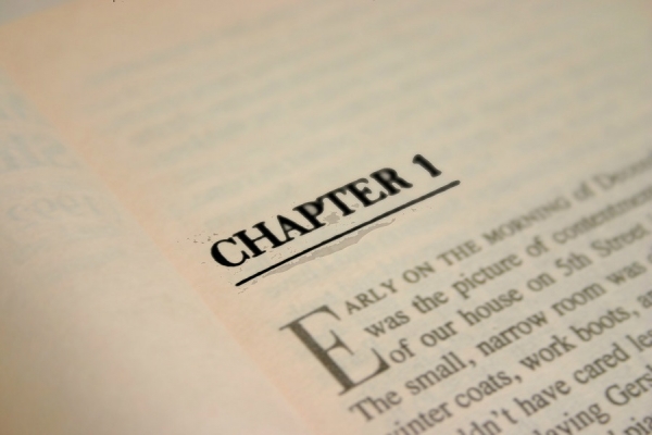 Linguistics in Literature