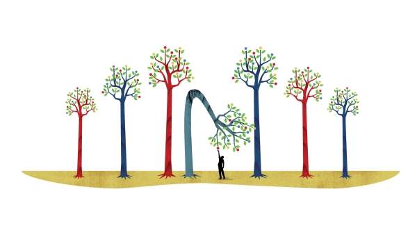 Capturing Covid Learning Through Poetry: Things I Learned This Year