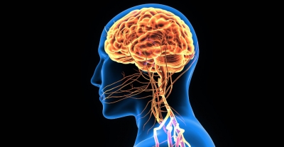 Why Ages 2-7 Matter So Much for Brain Development