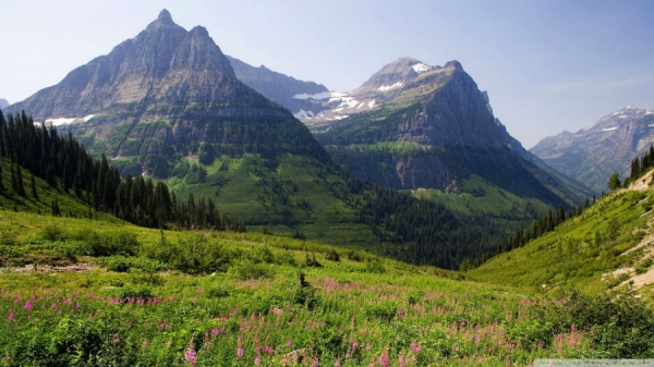 Do Geography and Altitude Shape the Sounds of a Language?