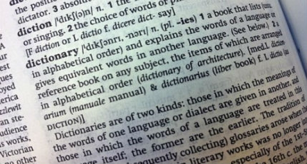 How to use a dictionary effectively