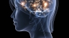 Alternative Paradigm for Language Acquisition