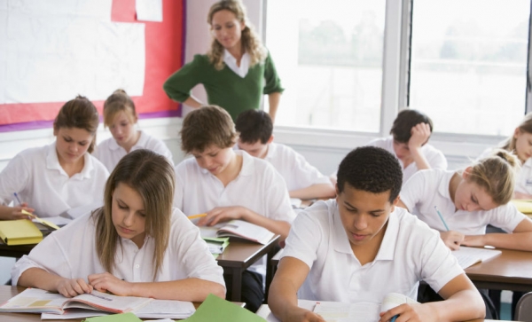 Culturally Mediated Instruction