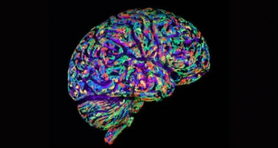 Neuro-Linguistic Programming (NLP)