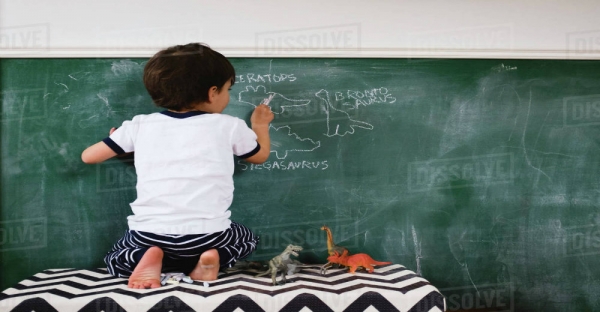 Ποια είναι τα εξελικτικά στάδια των νοητικών και μαθηματικών ικανοτήτων;