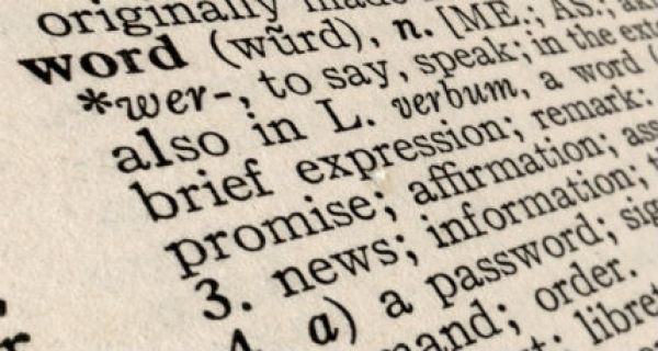 Is linguistics a science?