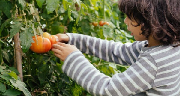 5 Fun Field Trip Ideas
