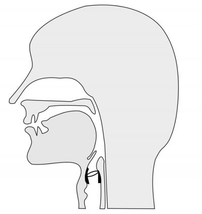The Sounds of Speech